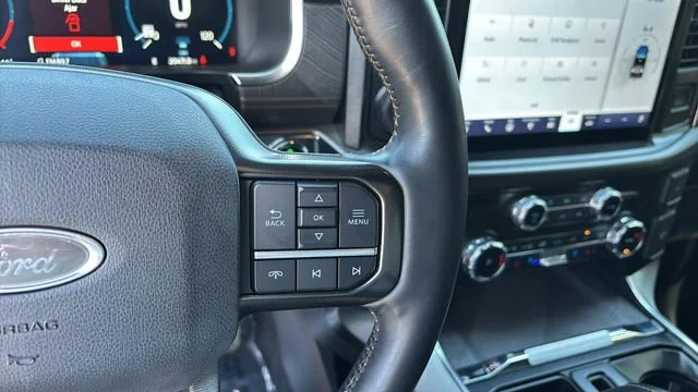 Used 2023 Blue Ford Platinum image 24