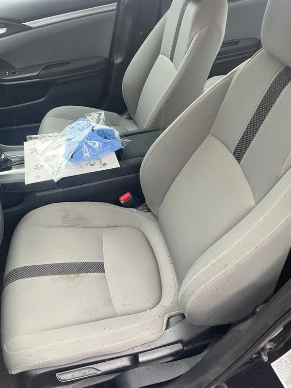 Used 2019 Blue Honda LX image 8