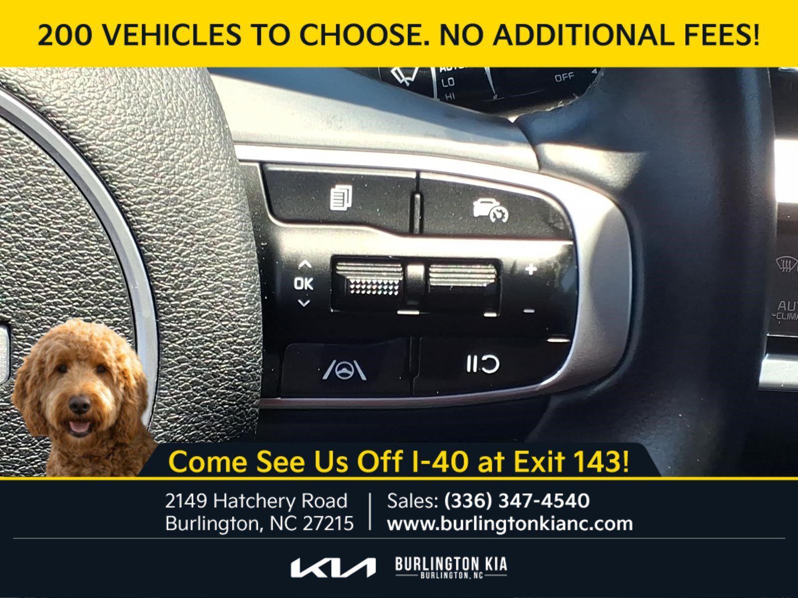 Certified Used 2024 Ebony Black Kia EX image 19