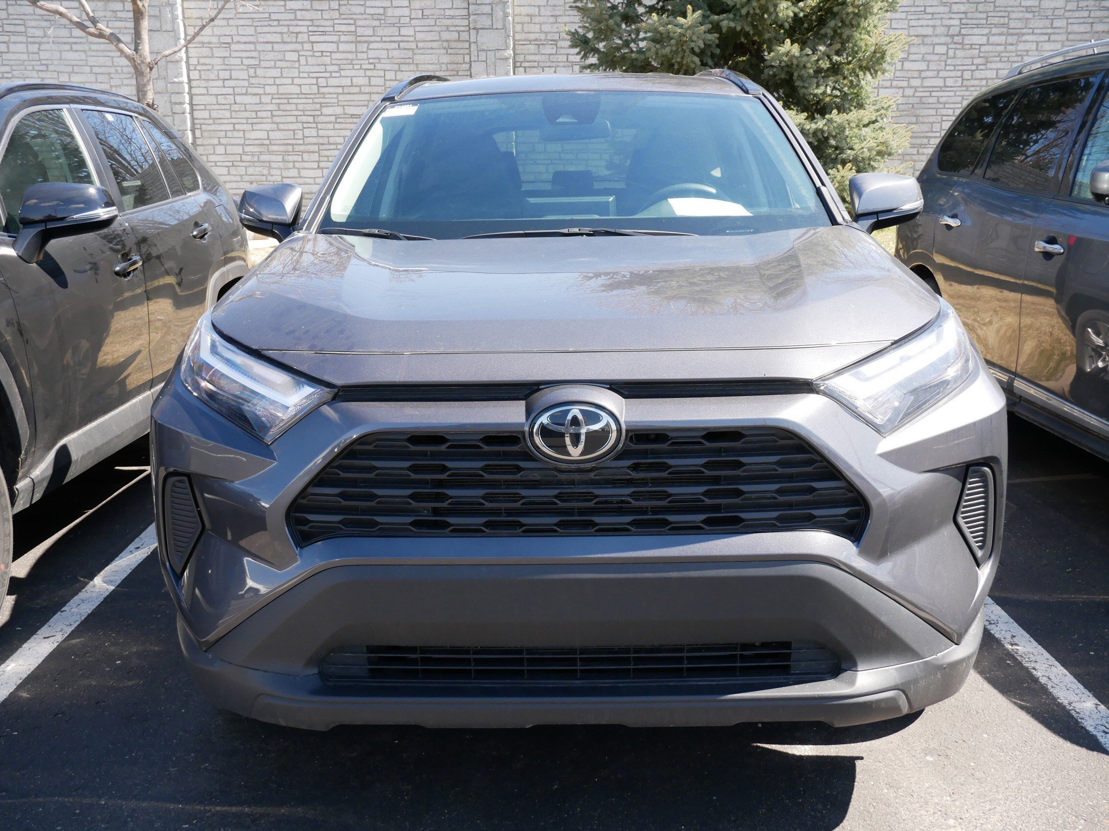 Certified 2025 Toyota RAV4 XLE with VIN 2T3P1RFV0SW542927 for sale in Brooklyn Center, Minnesota