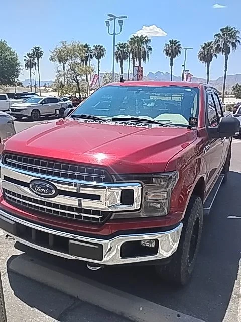Used 2019 Ruby Red Metallic Ford XLT image 2