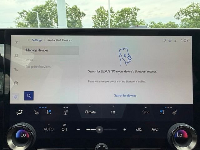 Used 2025 Black Lexus 250 Premium image 22