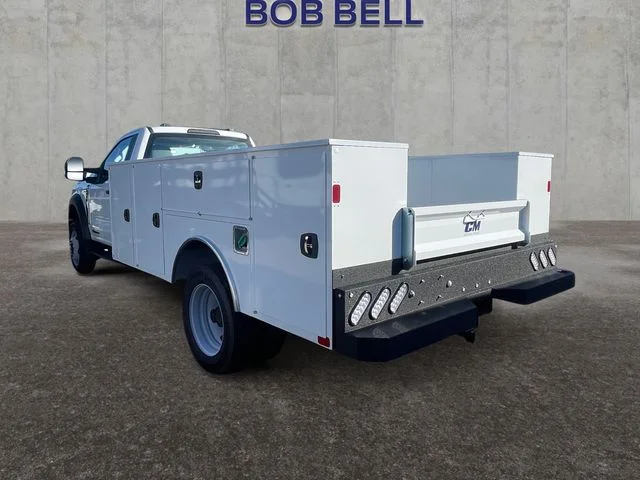 New 2025 White Ford XL image 3