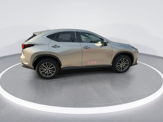 2026 Lexus NX 350 - Photo 9