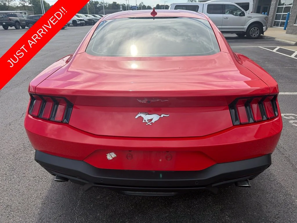 Used 2024 Race Red Ford EcoBoost image 3