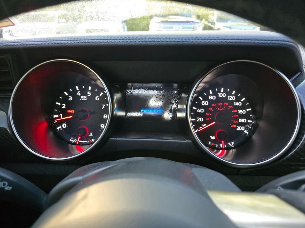 Used 2019 Black Ford Shelby GT350 image 22