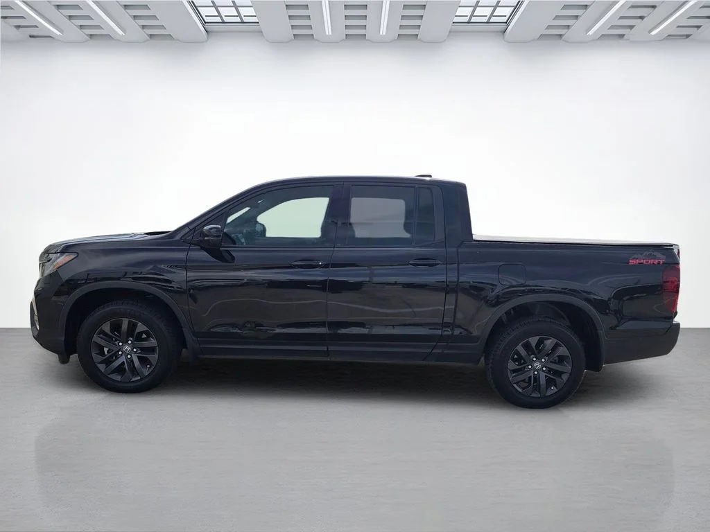 Used 2024 Black Honda Sport image 6