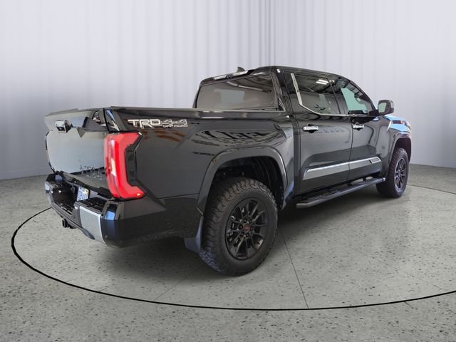 Used 2025 Black Toyota 1794 image 2