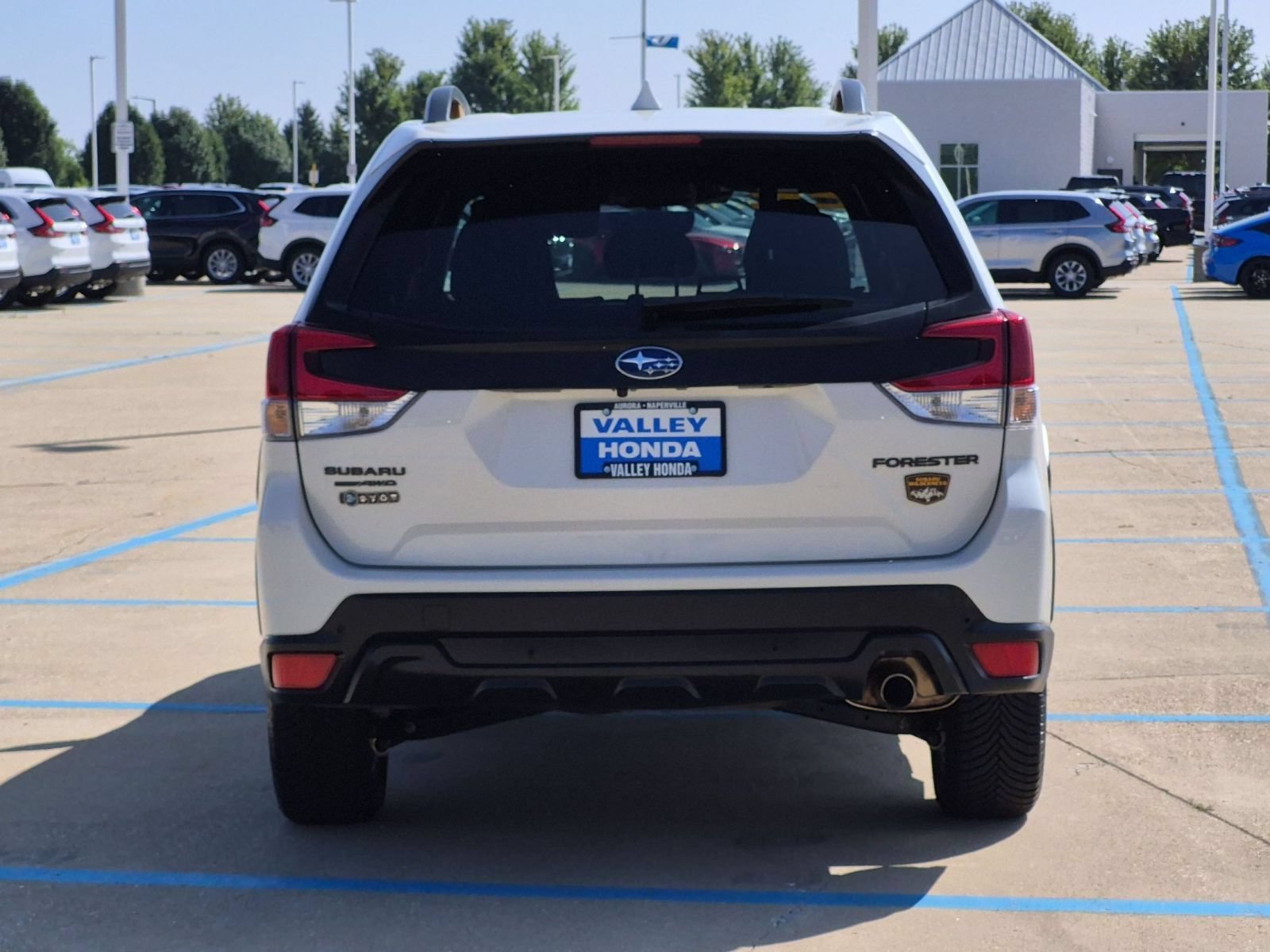 Used 2022 Crystal White Pearl Subaru Wilderness image 7