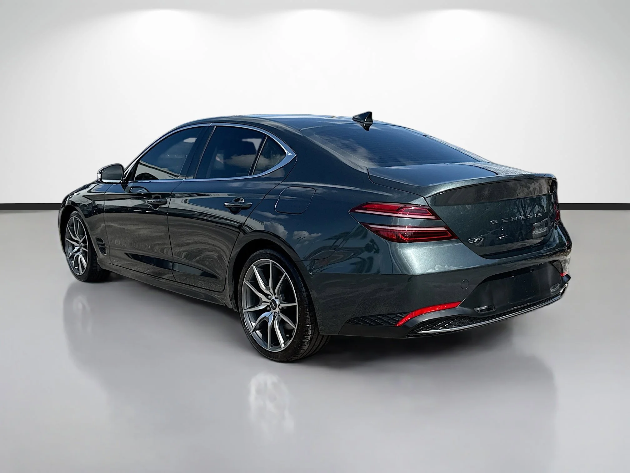 Used 2023 Hallasan Green Genesis 2.0T image 5