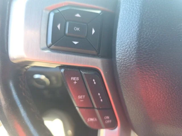 Used 2018 White Ford Platinum image 14