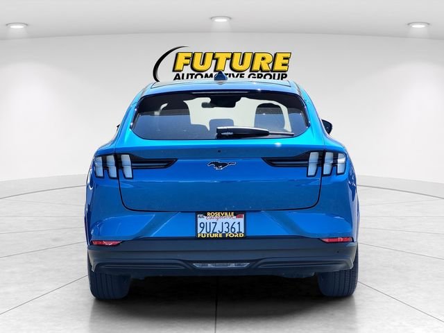 Used 2025 Blue Ford Premium image 5