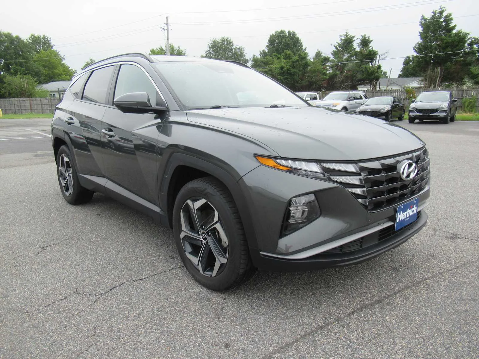 Used 2024 Amazon Gray Hyundai SEL Convenience image 3