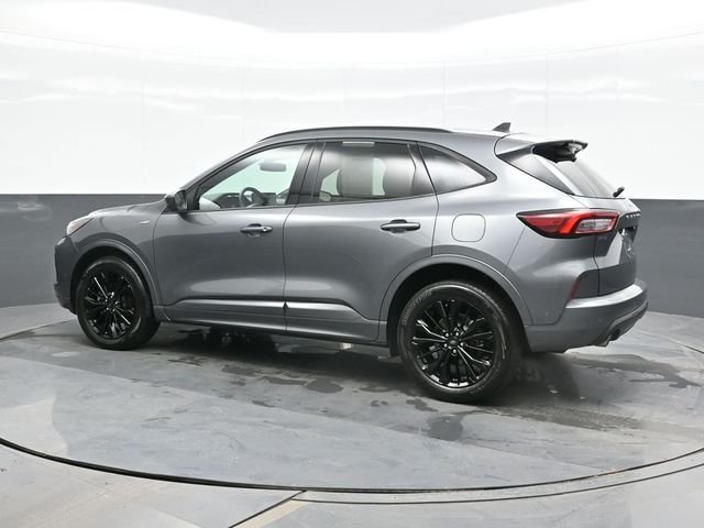 Used 2024 Gray Ford ST-Line Elite image 3