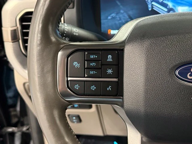 Used 2024 Black Ford Platinum image 15
