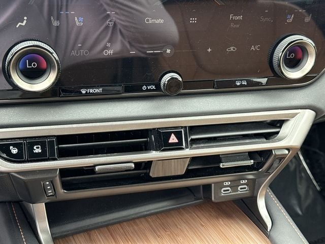 2025 Lexus RX Hybrid 350h - Photo 19