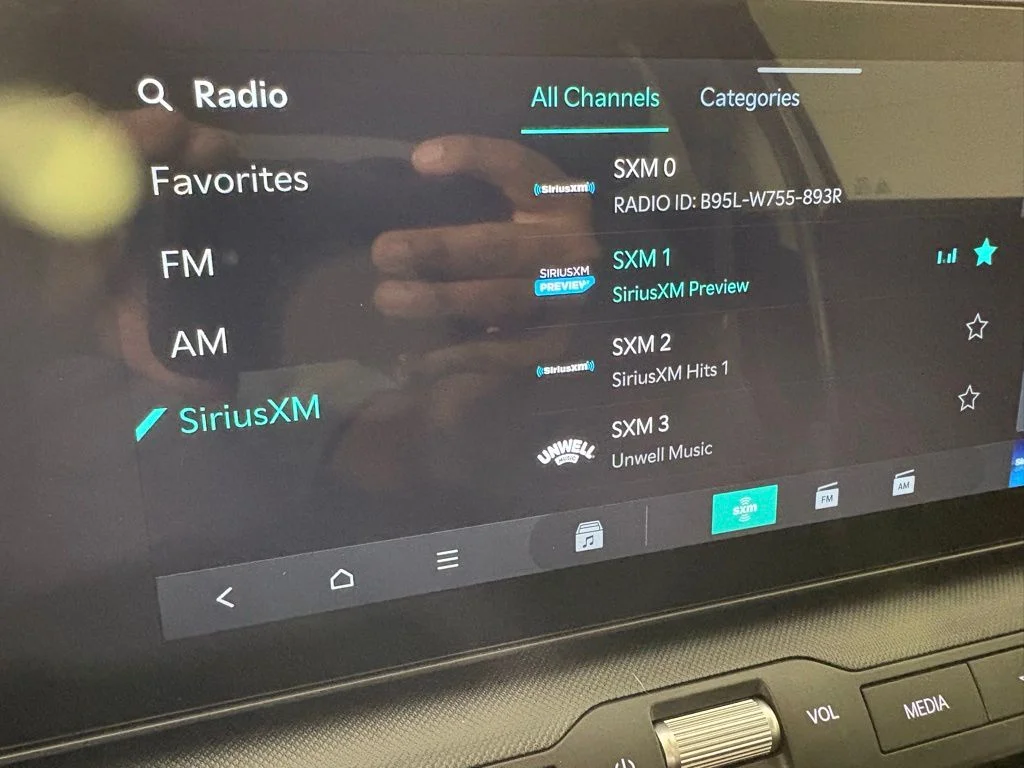 New 2026 Steel Gray Kia LXS image 28