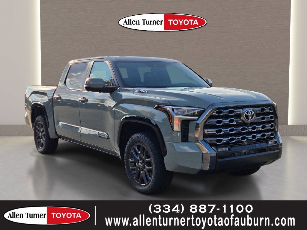 New 2026  Toyota Platinum image 1