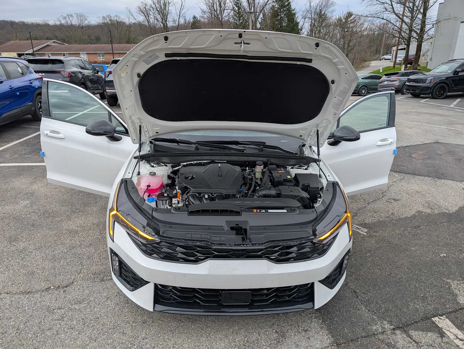 New 2026 Snow White Pearl Kia GT-Line image 9