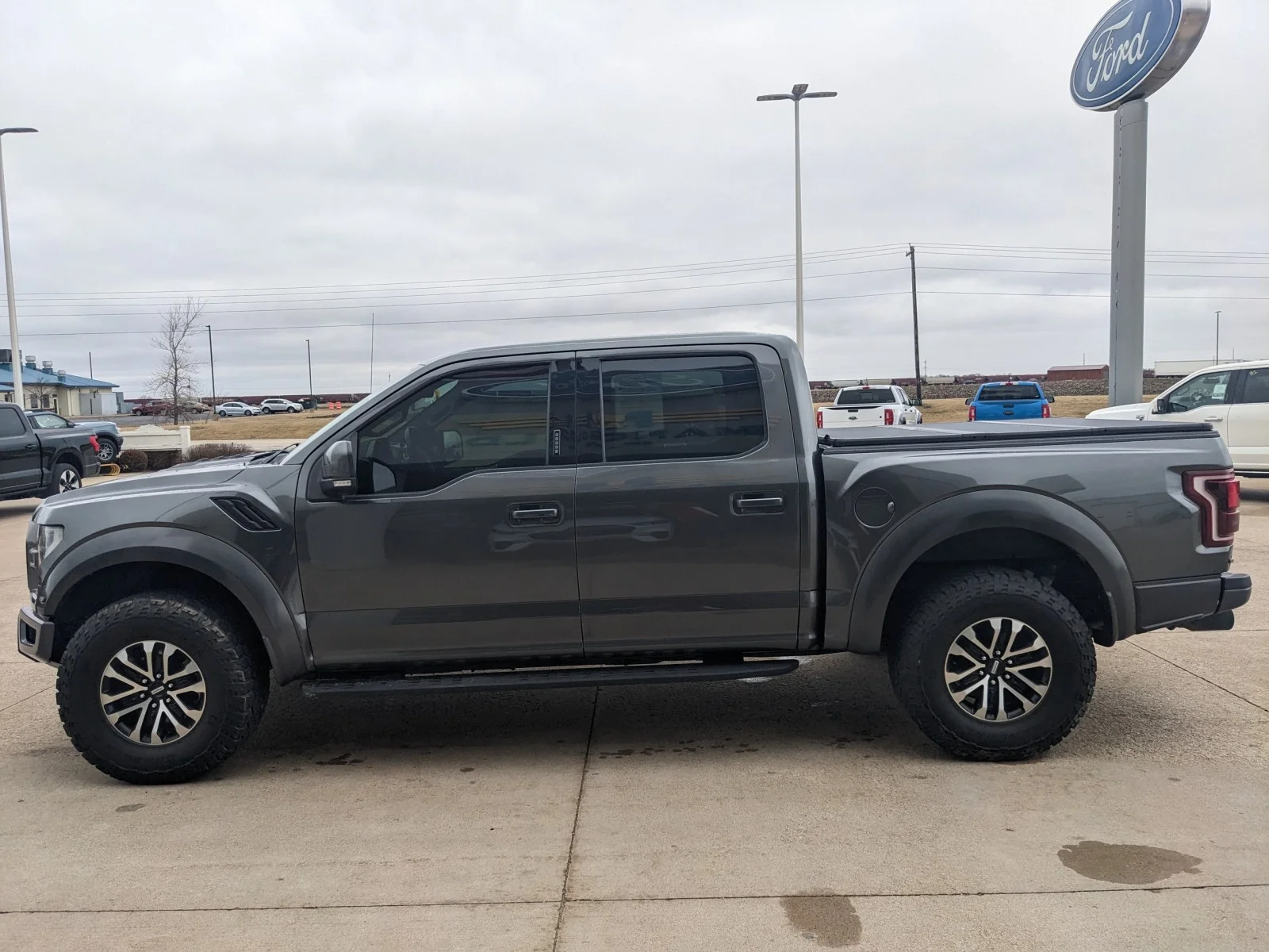 Used 2018 Magnetic Metallic Ford Raptor image 15