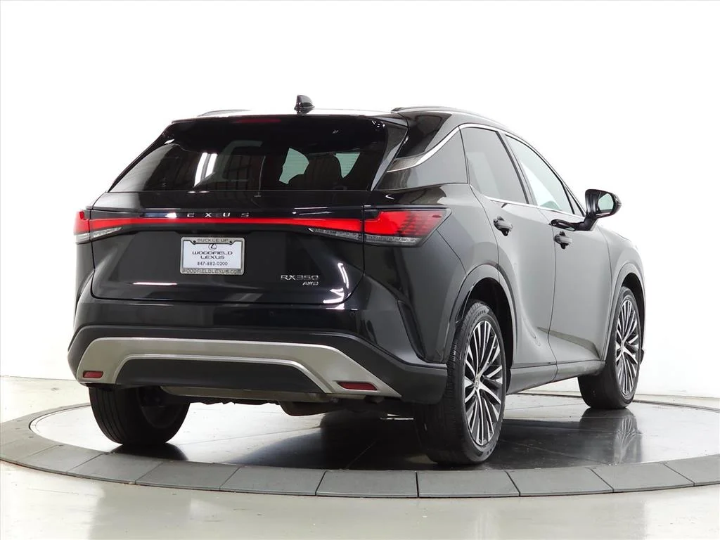 2023 Lexus RX 350 - Photo 9