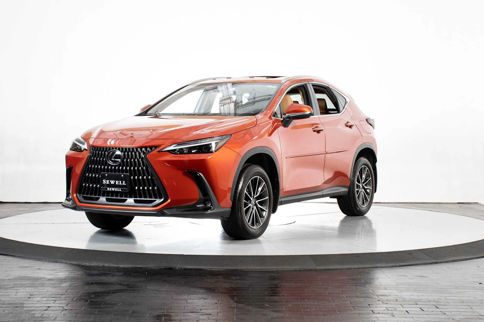 2024 Lexus NX 350h 350h AWD's photo
