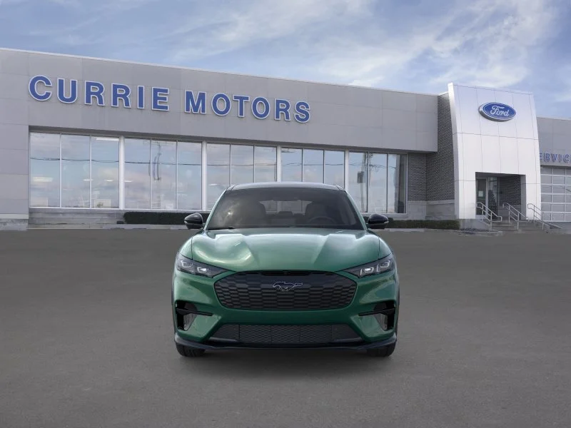 New 2026 Eruption Green Metallic Ford Premium image 6