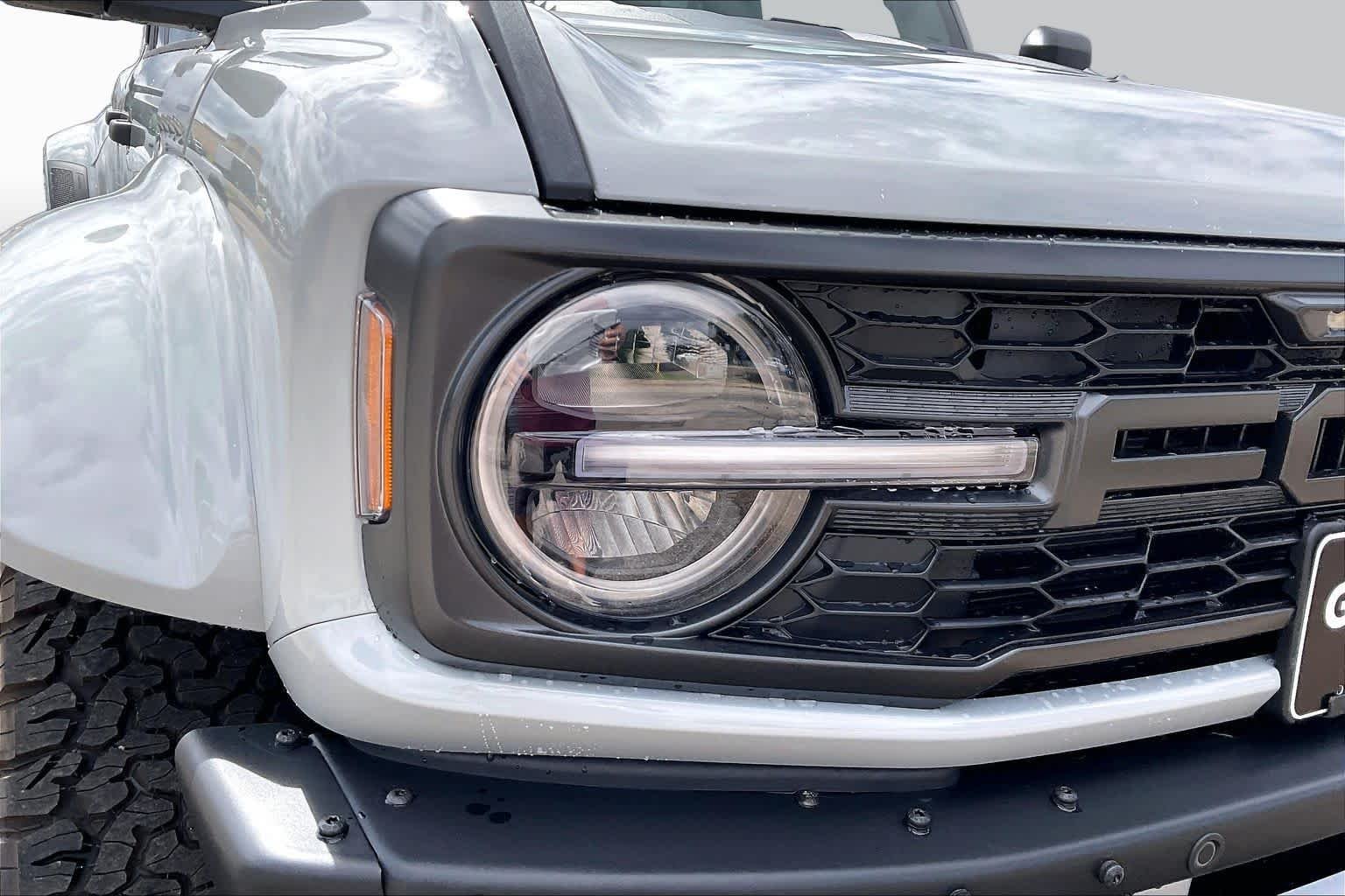 New 2026 Avalanche Gray Ford Raptor® image 13