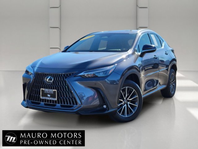 2022 Lexus NX