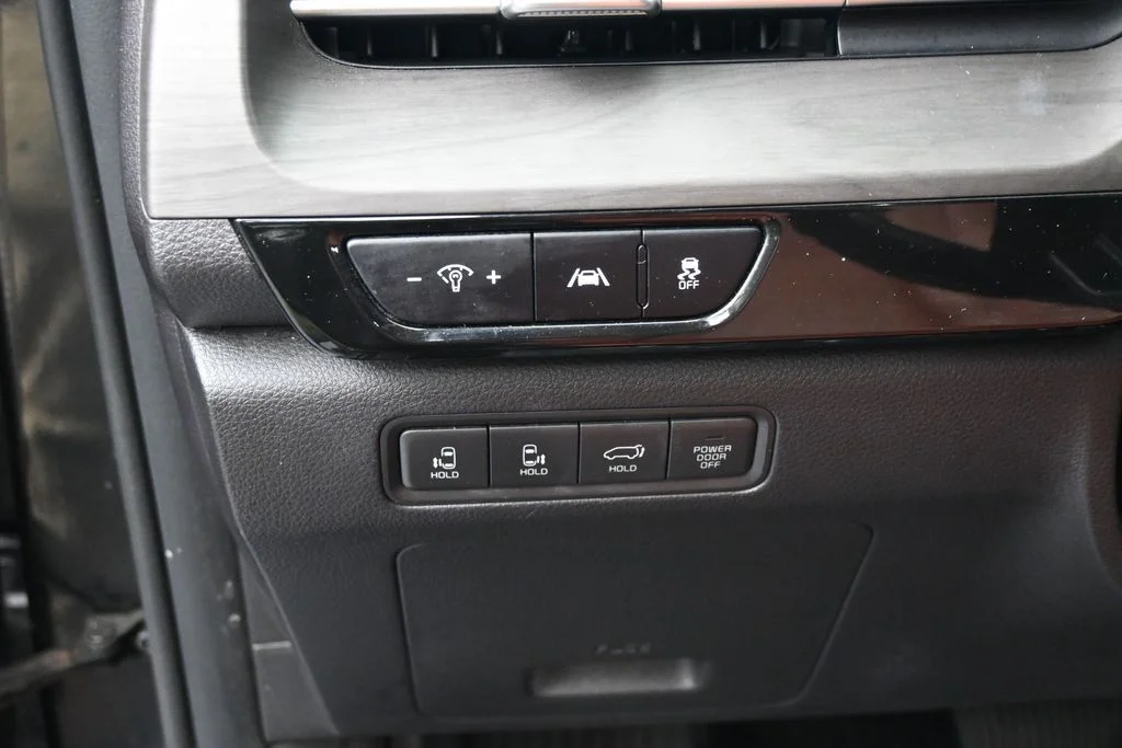 Used 2022 Pantera Metal Kia SX image 16