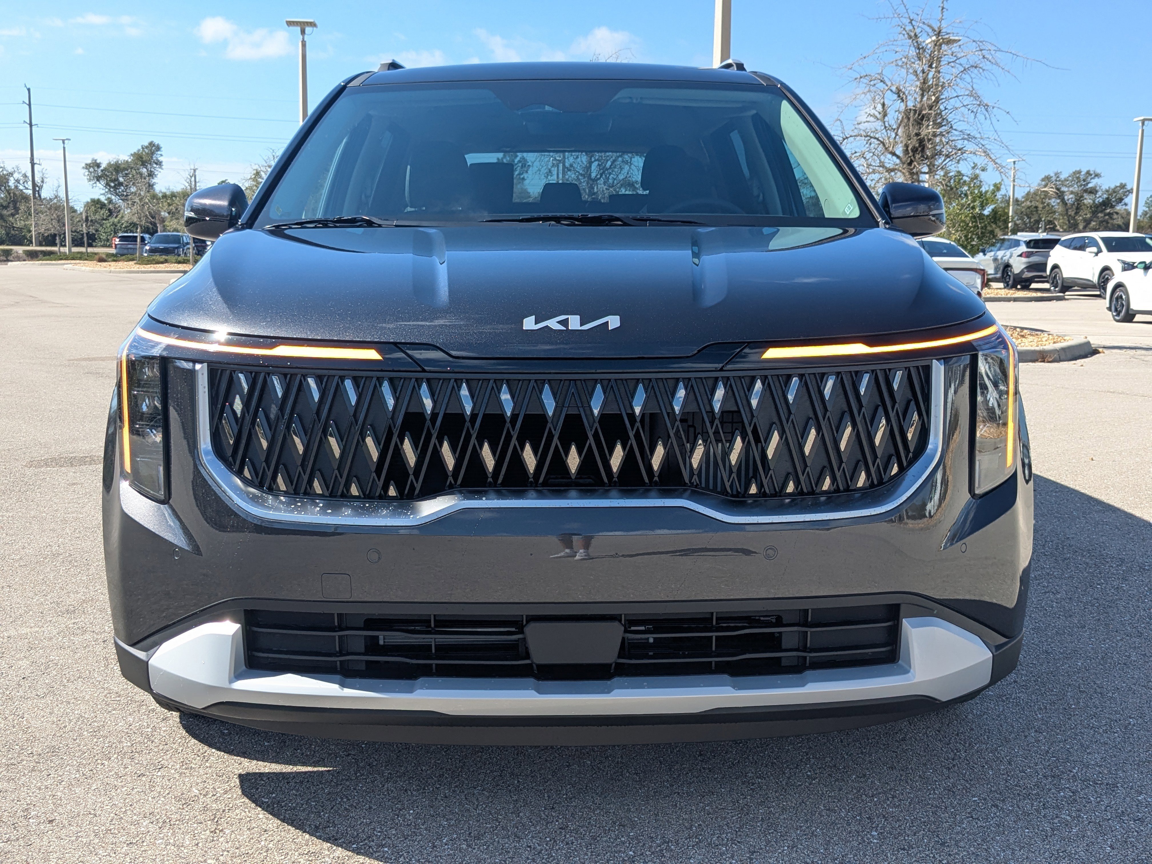 New 2026 Panthera Metal Kia EX image 3