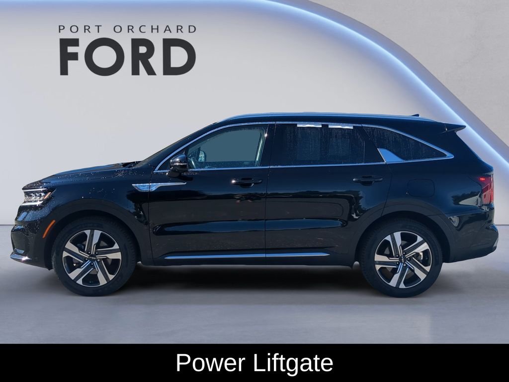 Used 2023 Aurora Black Kia SX Prestige image 3