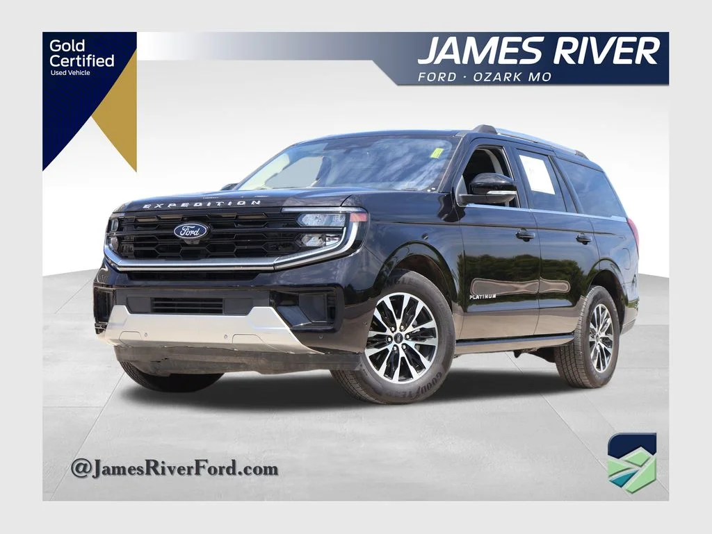 2025 Ford Expedition Platinum 4x4's photo