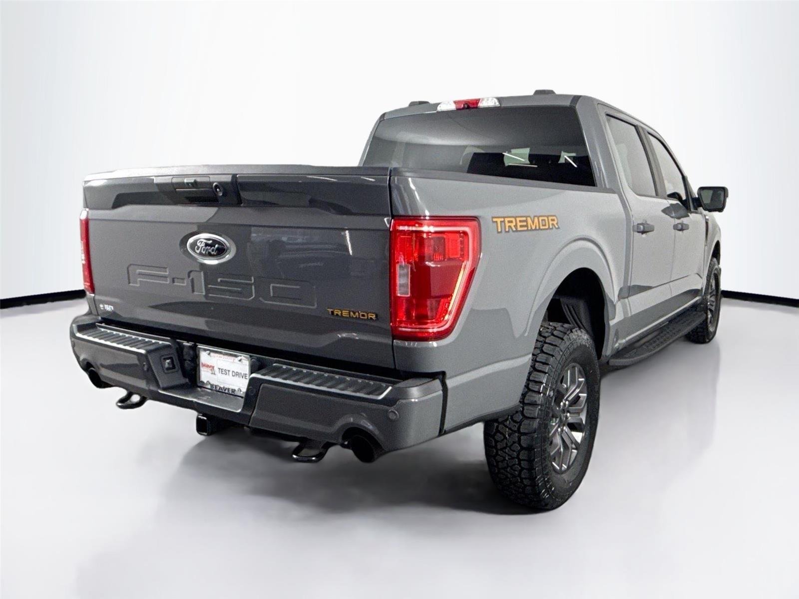 2021 Ford F-150 Tremor - Photo 6