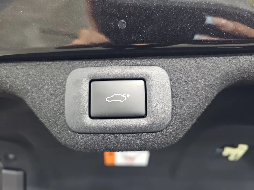 New 2026 Caviar Lexus PREMIUM AWD image 13