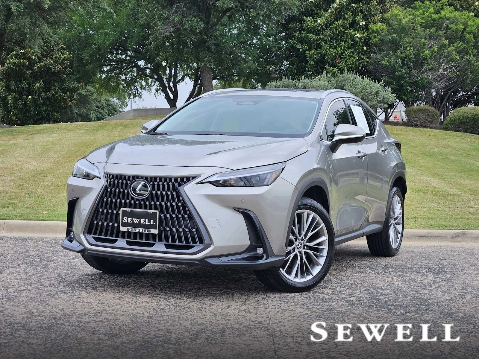 2025 Lexus NX 350 350 Premium AWD's photo