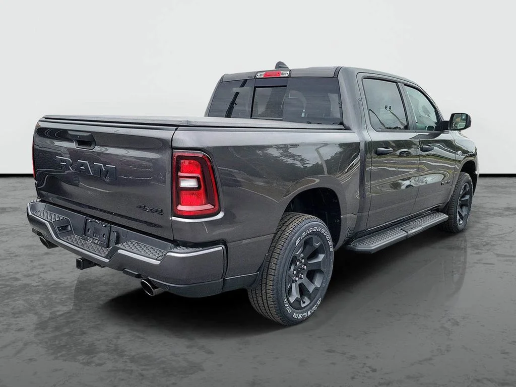 New 2026 Granite Crystal Metallic Clear-Coat Exterior Paint RAM Express image 2