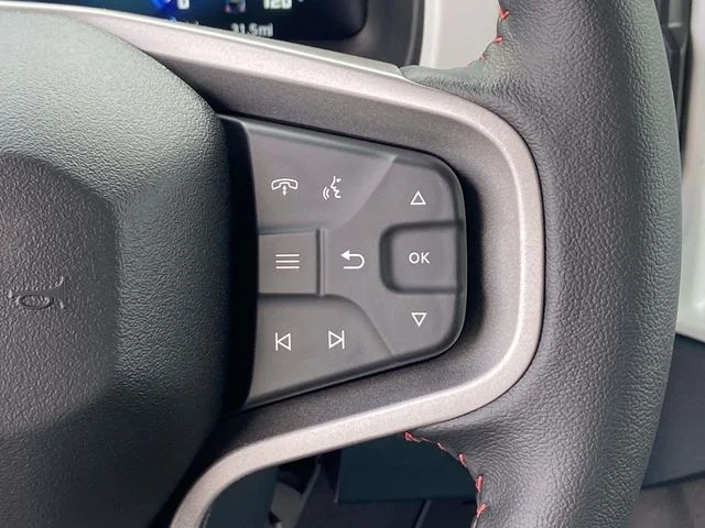 New 2026 Avalanche Gray Ford Heritage Edition image 17