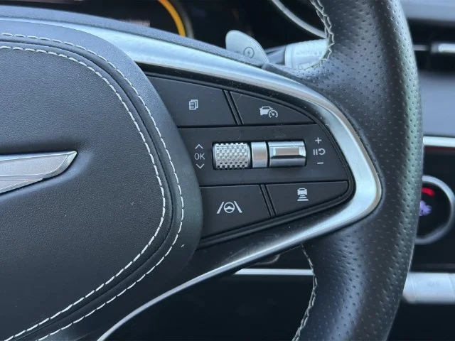 Used 2023 Gray Genesis Advanced image 29