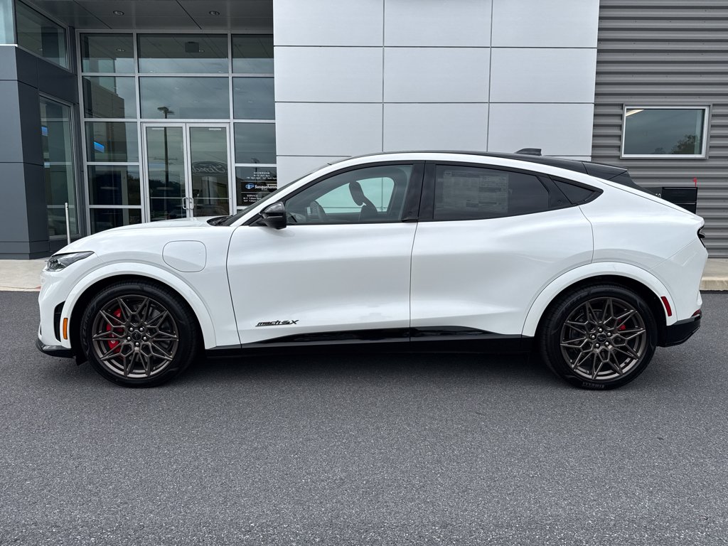 2025 Ford Mustang Mach-E GT - Photo 9