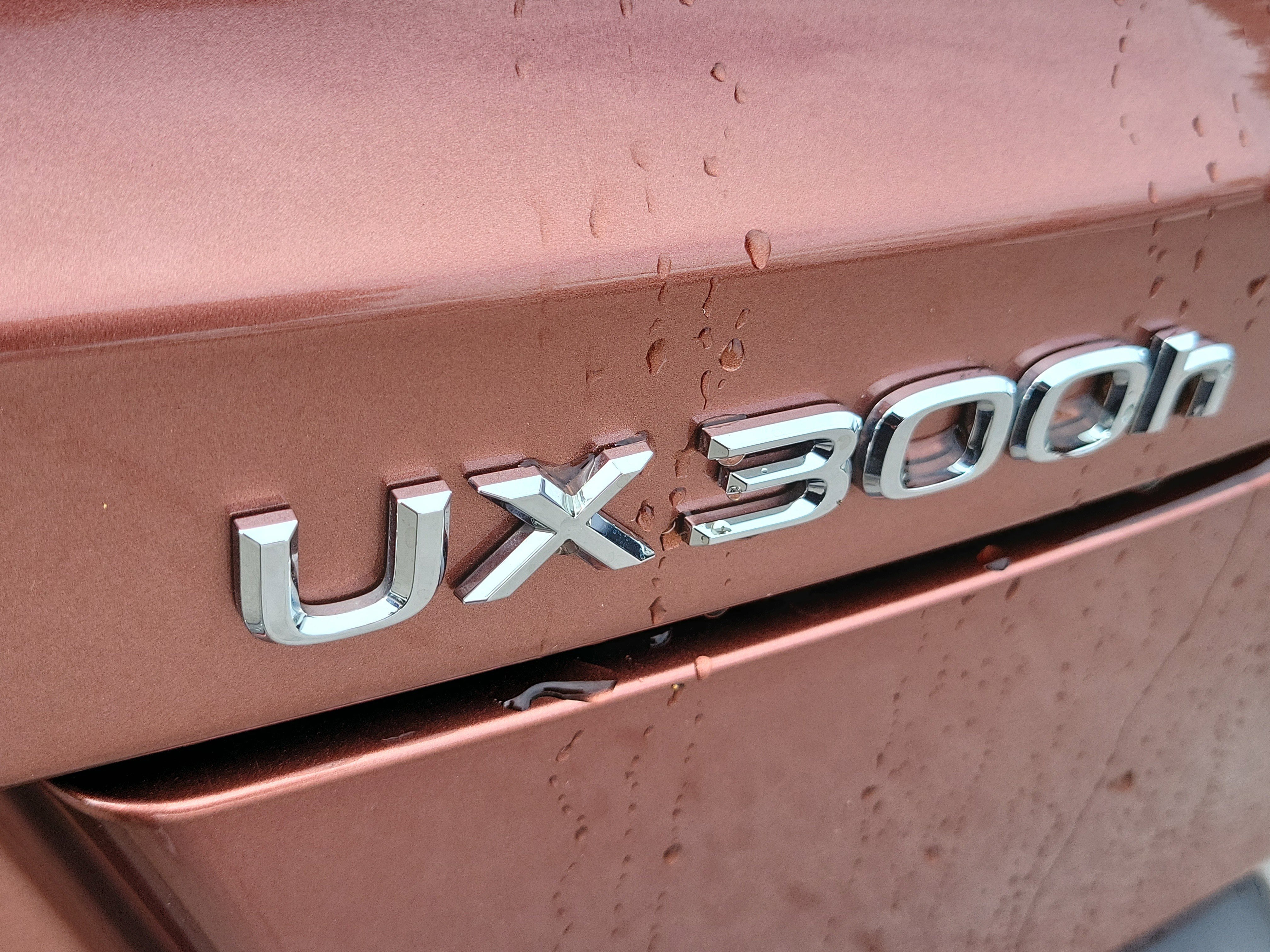 2025 Lexus UX Hybrid 300h F Sport Design - Photo 8