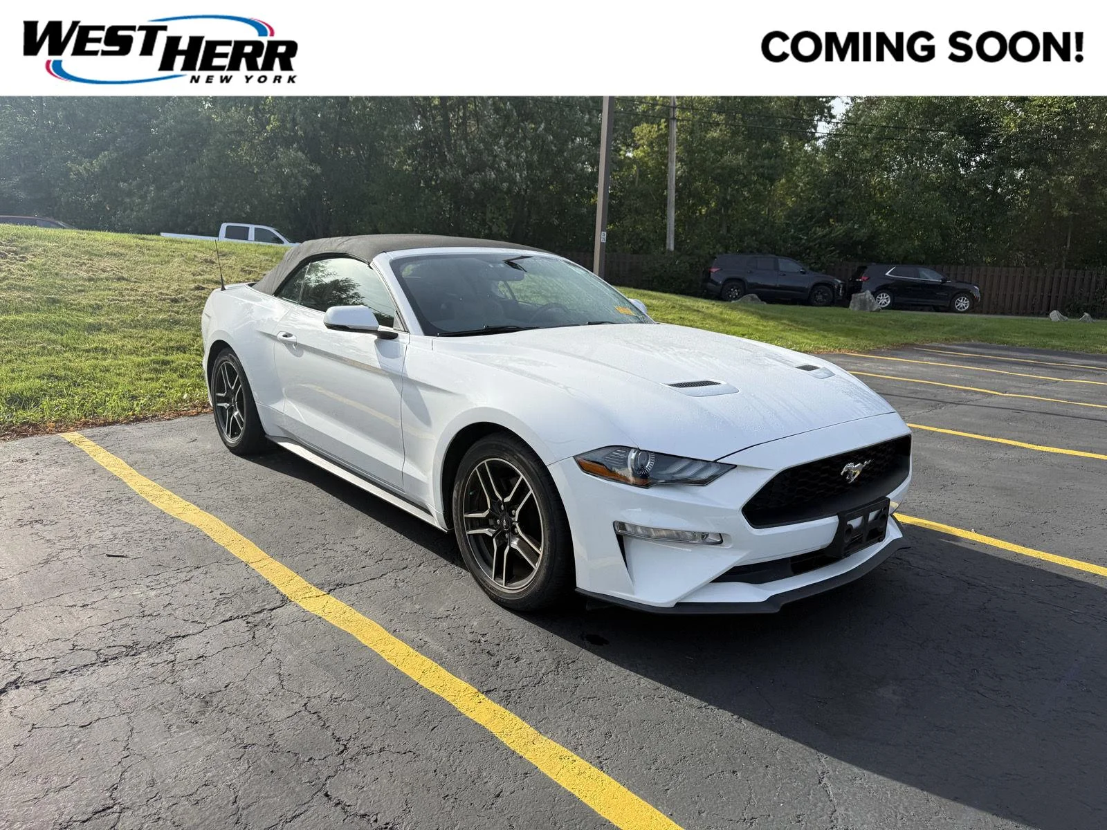 Used 2019 Oxford White Ford EcoBoost Premium image 1