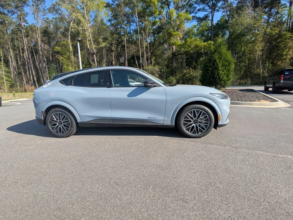 New 2026 Gray Ford Premium image 3