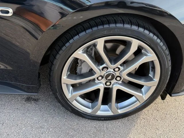 Used 2020 Black Ford GT Premium image 17