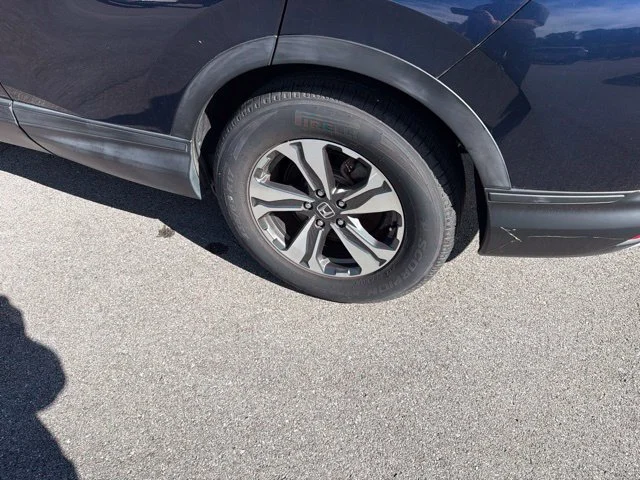 Used 2019 Blue Honda LX image 7