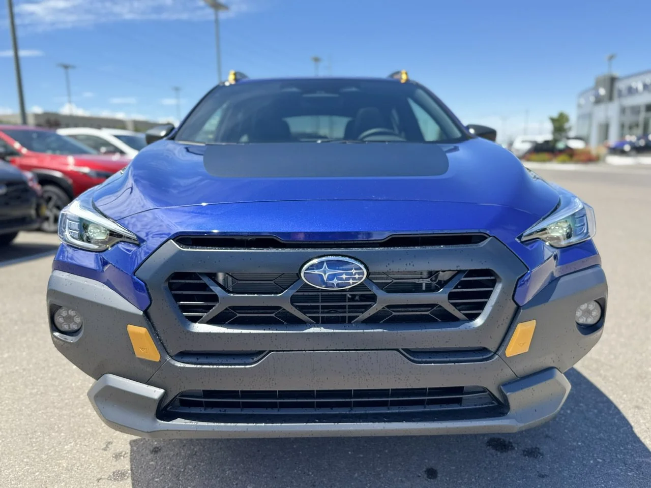 New 2026 Sapphire Blue Pearl Subaru Wilderness image 46