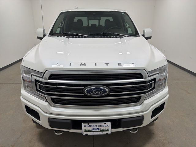 Used 2020 Ford F-150 Limited with VIN 1FTEW1EG8LFA94758 for sale in Pine River, Minnesota