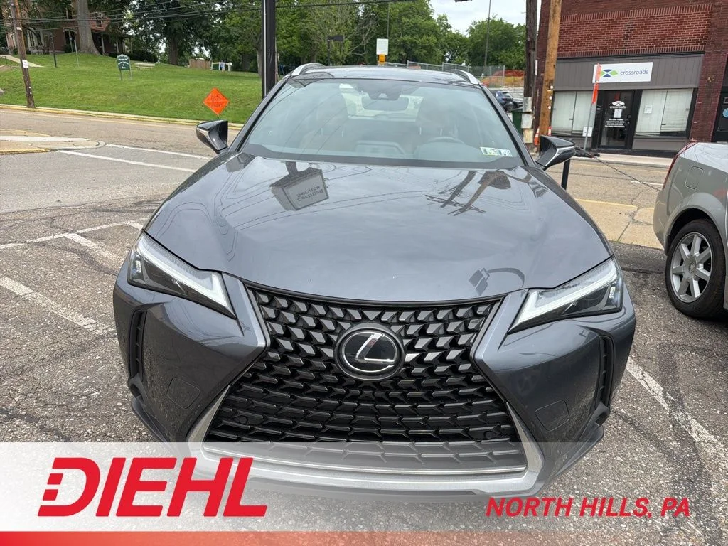 2024 Lexus UX 300h 250h Premium AWD's photo