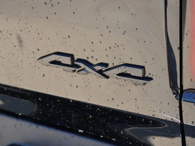 New 2026 Diamond Black Crystal Pearl-Coat Exterior Paint RAM Big Horn/Lone Star image 17