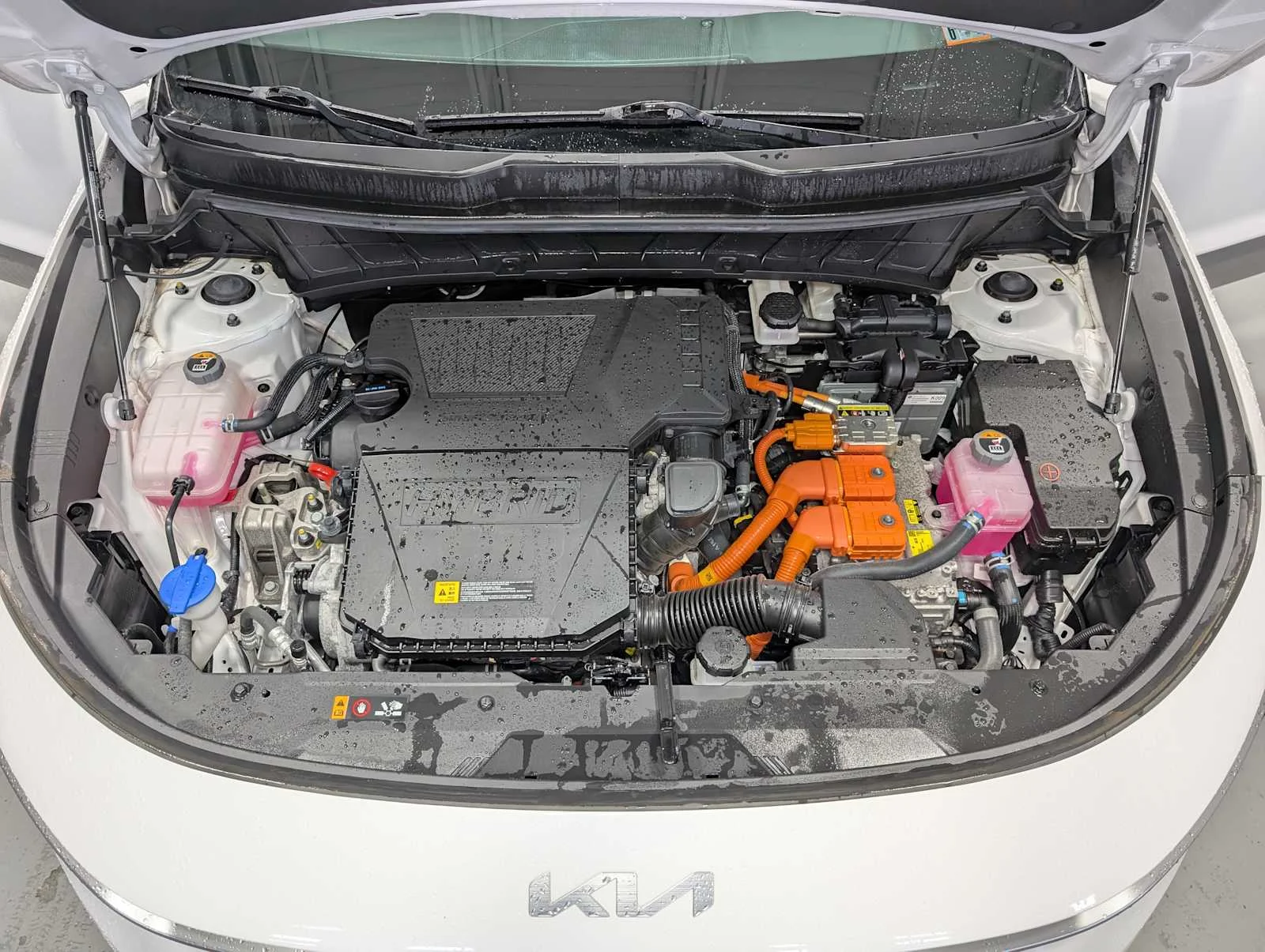 Used 2024 Snow White Pearl Kia EX image 14